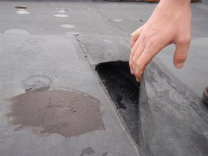 Problems With Flat Roofs